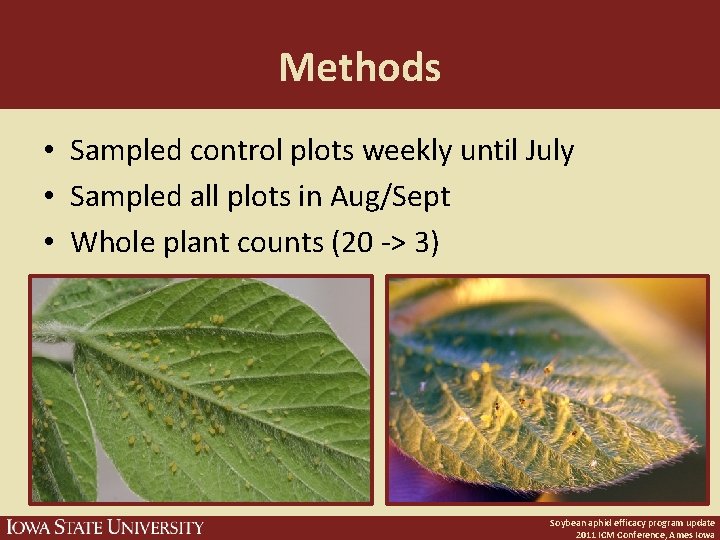 Methods • Sampled control plots weekly until July • Sampled all plots in Aug/Sept