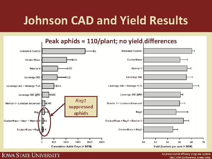 Johnson CAD and Yield Results Peak aphids = 110/plant; no yield differences Rag 1