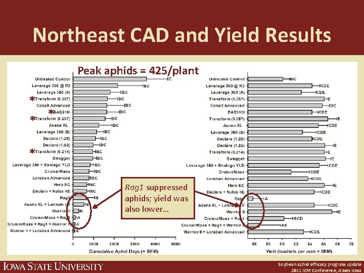 Northeast CAD and Yield Results Peak aphids = 425/plant * * Rag 1 suppressed