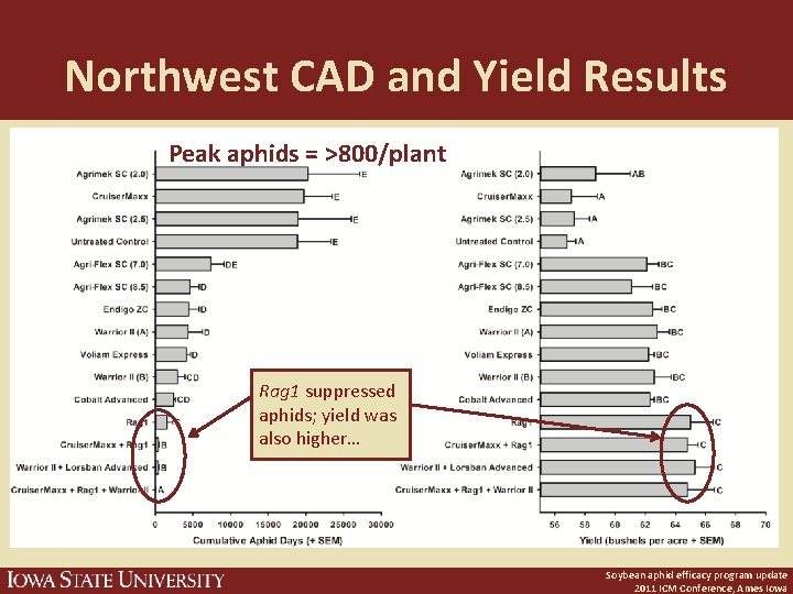 Northwest CAD and Yield Results Peak aphids = >800/plant Rag 1 suppressed aphids; yield