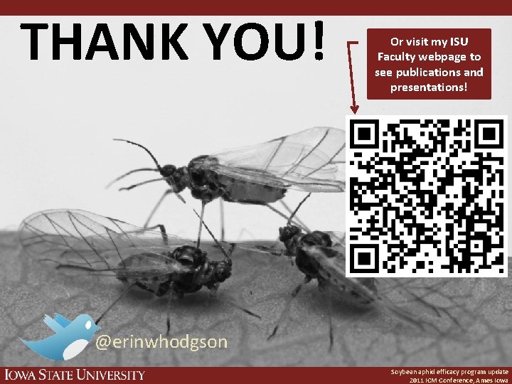 THANK YOU! Or visit my ISU Faculty webpage to see publications and presentations! @erinwhodgson