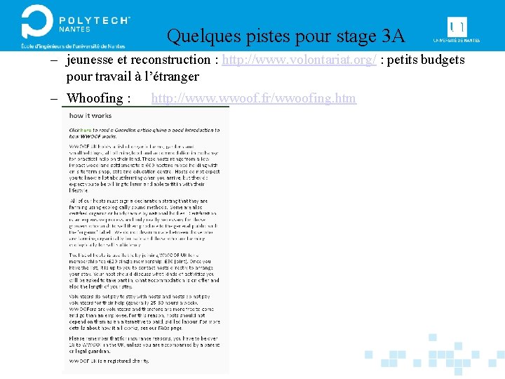 Quelques pistes pour stage 3 A – jeunesse et reconstruction : http: //www. volontariat.