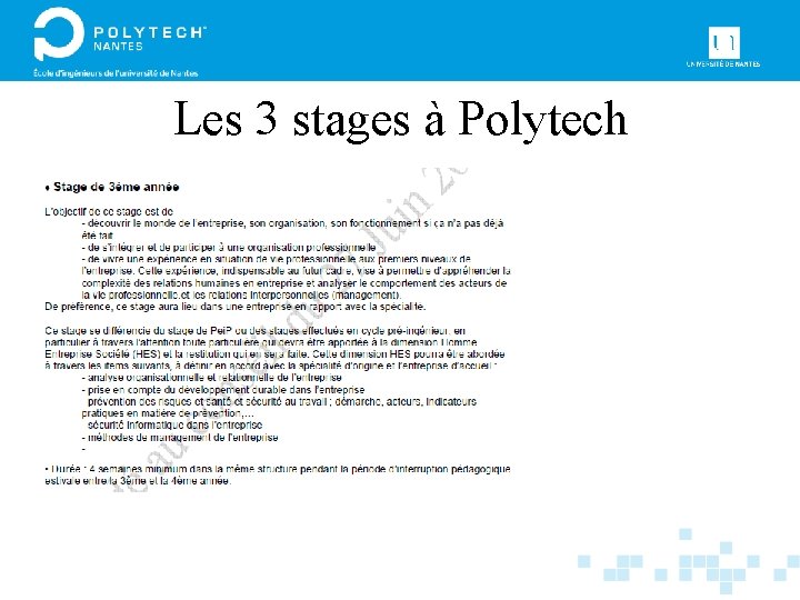 Les 3 stages à Polytech 