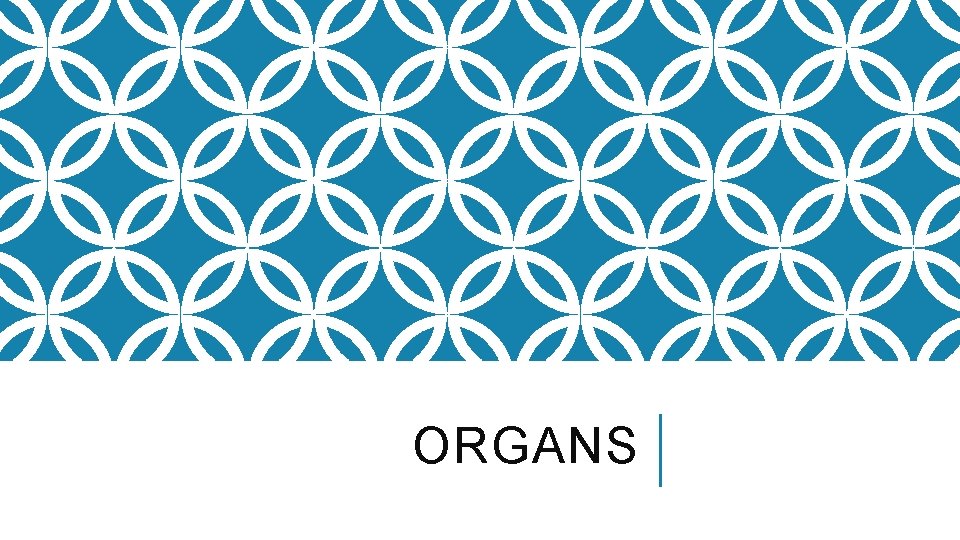 ORGANS 