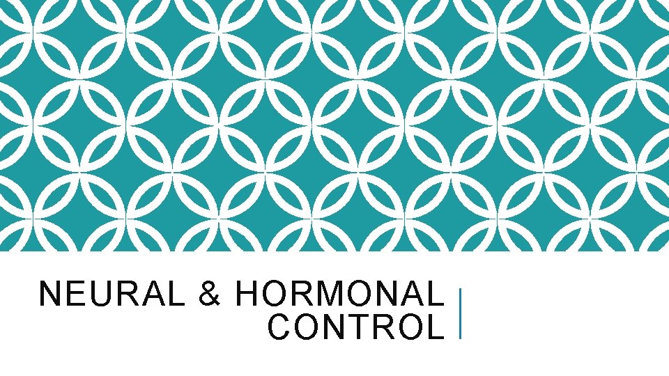 NEURAL & HORMONAL CONTROL 