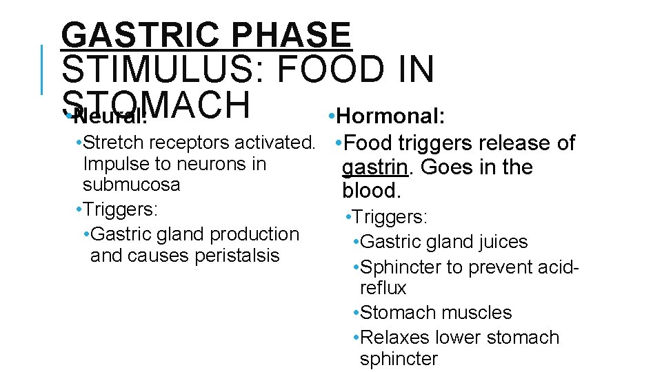 GASTRIC PHASE STIMULUS: FOOD IN STOMACH • Neural: • Hormonal: • Stretch receptors activated.