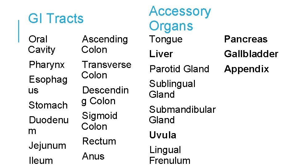 GI Tracts Accessory Organs Oral Cavity Ascending Colon Tongue Pancreas Pharynx Transverse Colon Liver