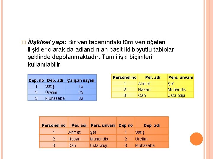 � İlişkisel yapı: Bir veri tabanındaki tüm veri öğeleri ilişkiler olarak da adlandırılan basit