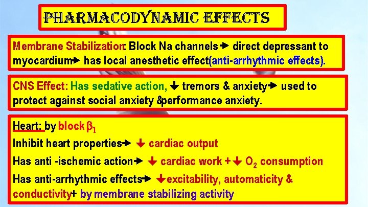 pharmacodynamic effects Membrane Stabilization: Block Na channels direct depressant to myocardium has local anesthetic