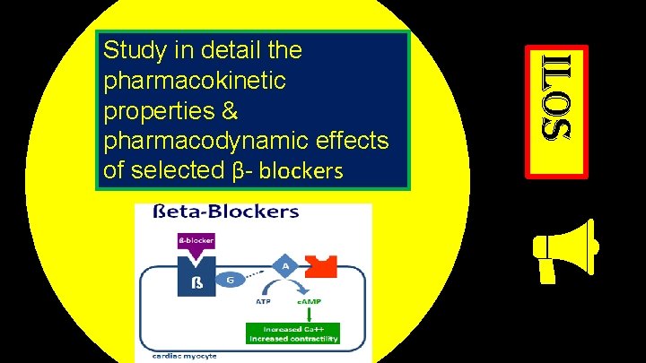 ilos Study in detail the pharmacokinetic properties & pharmacodynamic effects of selected β- blockers