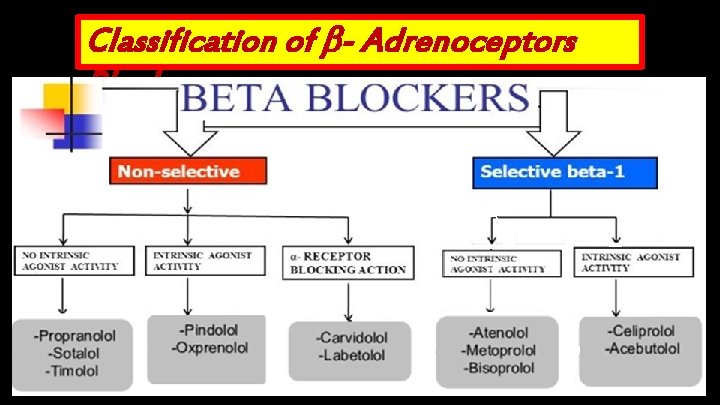 Classification of - Adrenoceptors Blockers 