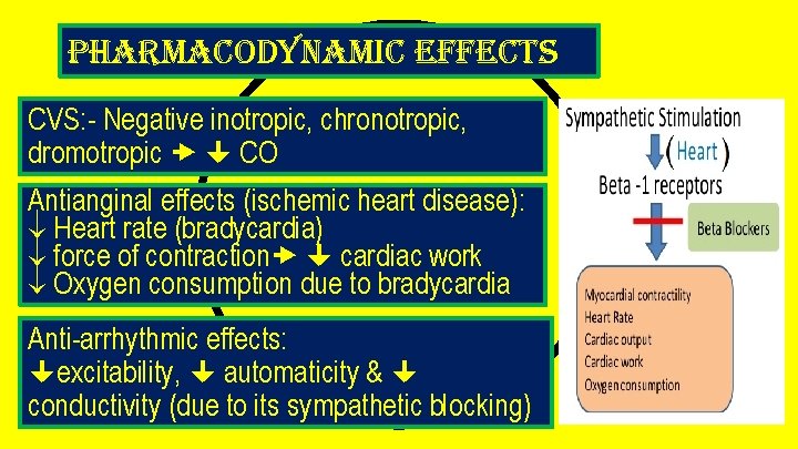 pharmacodynamic effects CVS: - Negative inotropic, chronotropic, dromotropic CO Antianginal effects (ischemic heart disease):