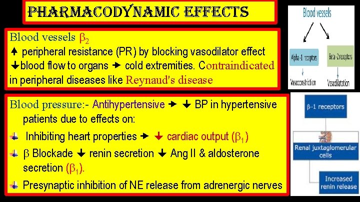pharmacodynamic effects Blood vessels 2 peripheral resistance (PR) by blocking vasodilator effect blood flow
