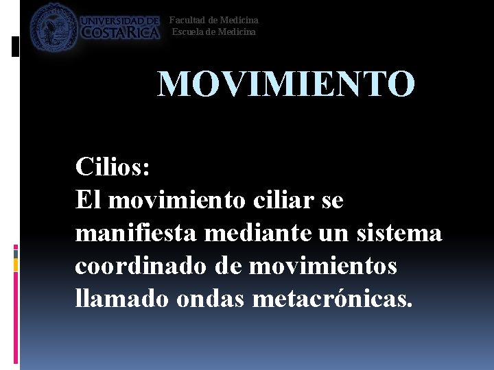 Facultad de Medicina Escuela de Medicina MOVIMIENTO Cilios: El movimiento ciliar se manifiesta mediante
