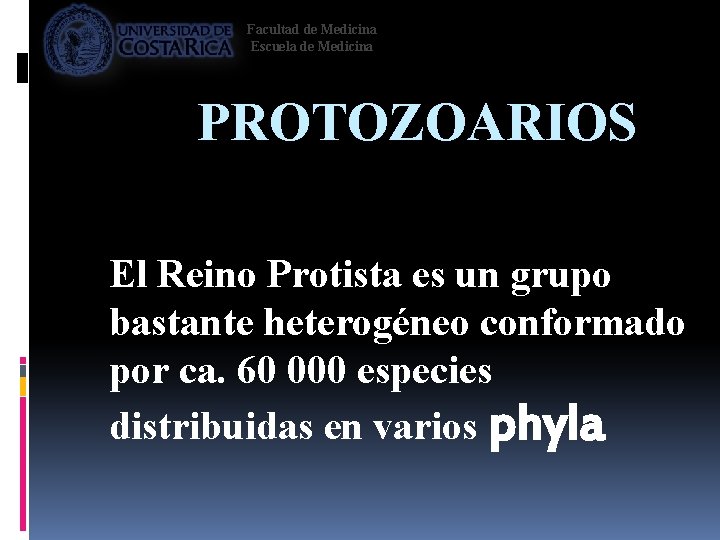 Facultad de Medicina Escuela de Medicina PROTOZOARIOS El Reino Protista es un grupo bastante