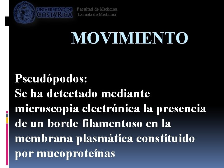 Facultad de Medicina Escuela de Medicina MOVIMIENTO Pseudópodos: Se ha detectado mediante microscopia electrónica