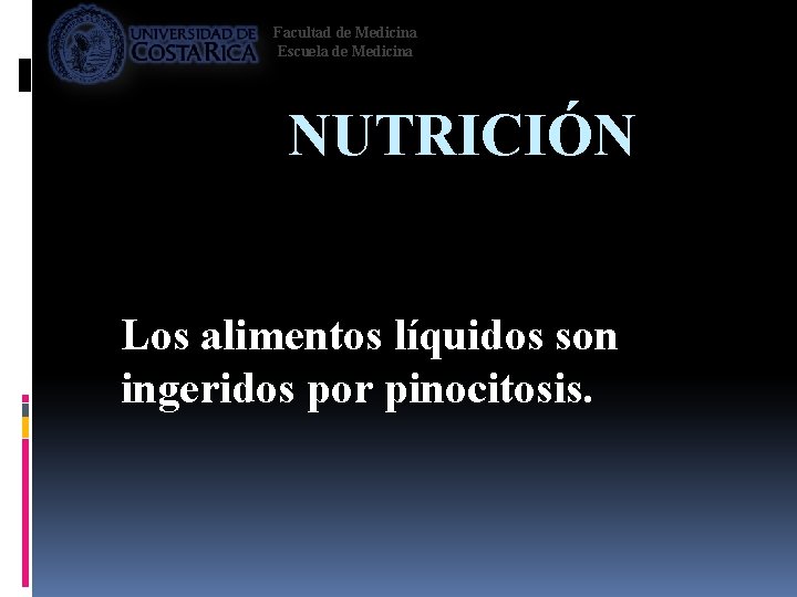 Facultad de Medicina Escuela de Medicina NUTRICIÓN Los alimentos líquidos son ingeridos por pinocitosis.