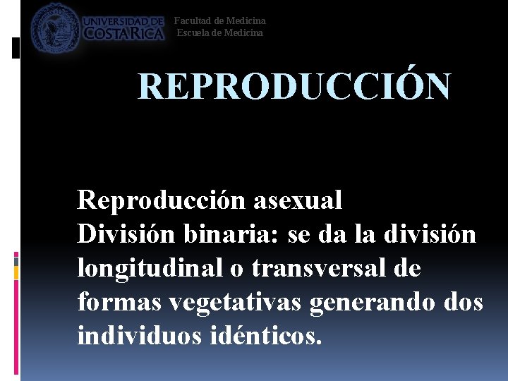 Facultad de Medicina Escuela de Medicina REPRODUCCIÓN Reproducción asexual División binaria: se da la