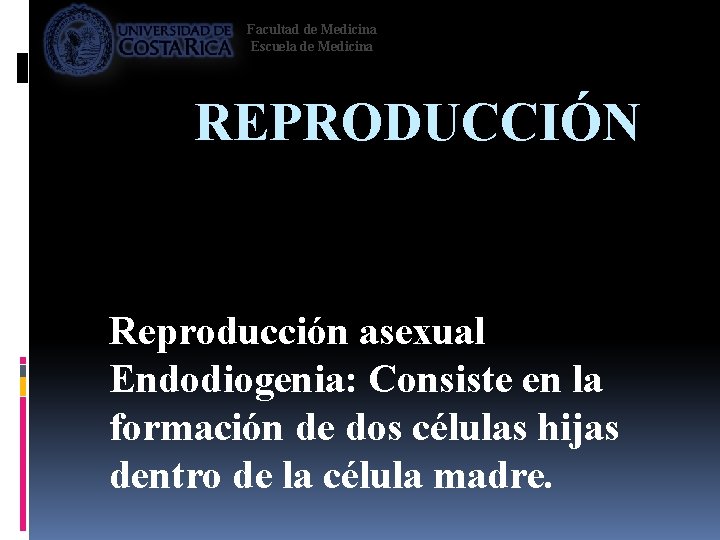 Facultad de Medicina Escuela de Medicina REPRODUCCIÓN Reproducción asexual Endodiogenia: Consiste en la formación