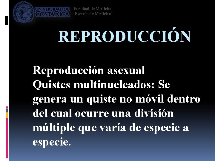 Facultad de Medicina Escuela de Medicina REPRODUCCIÓN Reproducción asexual Quistes multinucleados: Se genera un