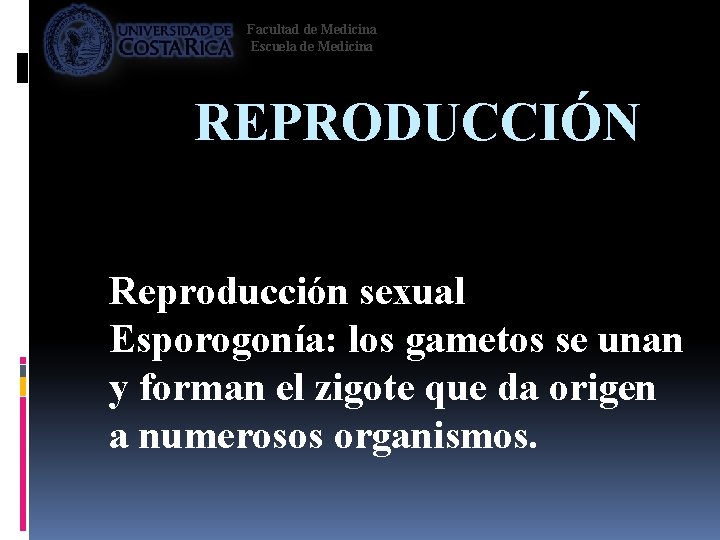 Facultad de Medicina Escuela de Medicina REPRODUCCIÓN Reproducción sexual Esporogonía: los gametos se unan