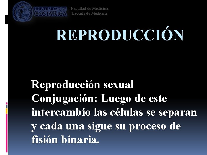Facultad de Medicina Escuela de Medicina REPRODUCCIÓN Reproducción sexual Conjugación: Luego de este intercambio