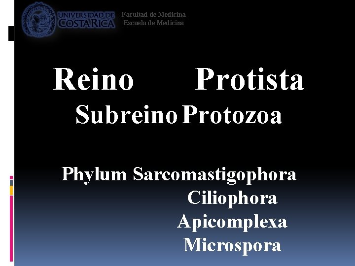 Facultad de Medicina Escuela de Medicina Reino Protista Subreino Protozoa Phylum Sarcomastigophora Ciliophora Apicomplexa