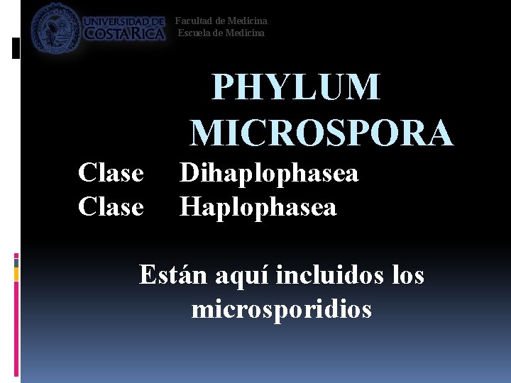 Facultad de Medicina Escuela de Medicina PHYLUM MICROSPORA Clase Dihaplophasea Haplophasea Están aquí incluidos