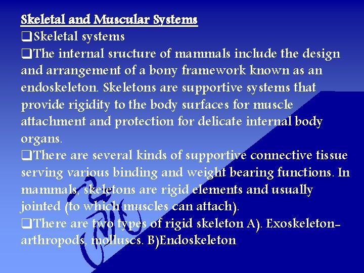 Skeletal and Muscular Systems q. Skeletal systems q. The internal sructure of mammals include