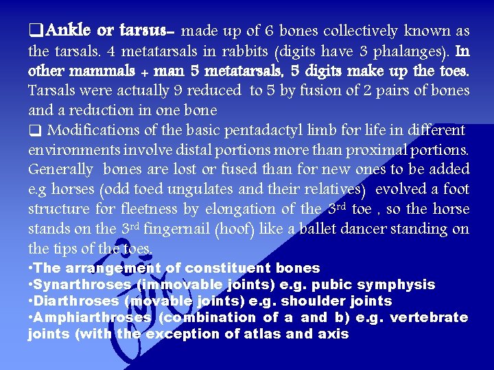 q. Ankle or tarsus- made up of 6 bones collectively known as the tarsals.