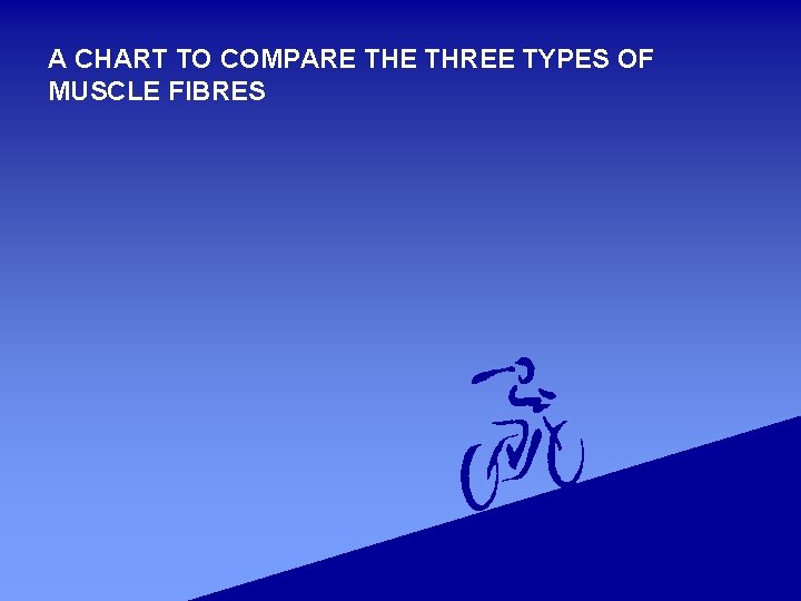 A CHART TO COMPARE THREE TYPES OF MUSCLE FIBRES 