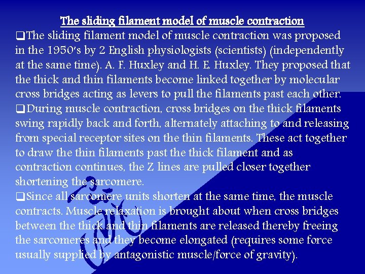 The sliding filament model of muscle contraction q. The sliding filament model of muscle