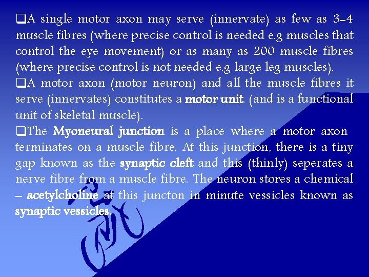 q. A single motor axon may serve (innervate) as few as 3 -4 muscle