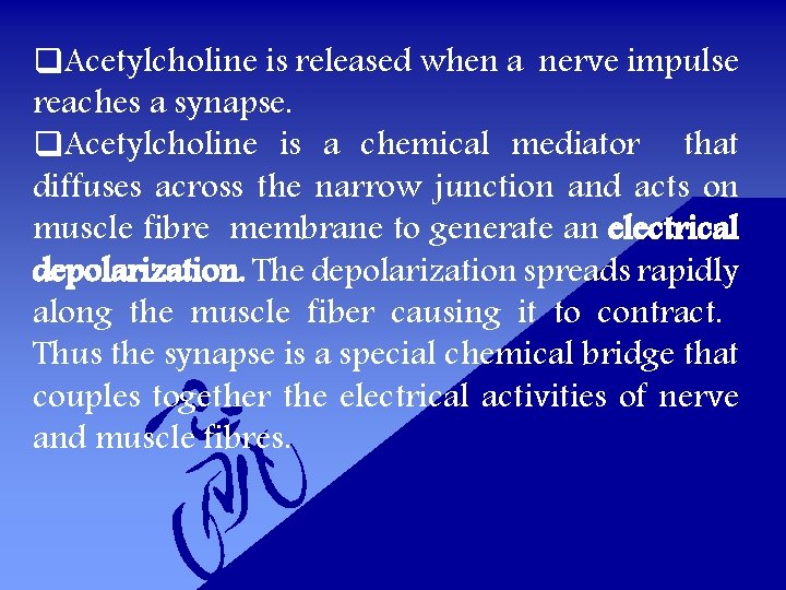 q. Acetylcholine is released when a nerve impulse reaches a synapse. q. Acetylcholine is