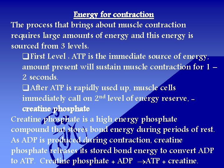 Energy for contraction The process that brings about muscle contraction requires large amounts of