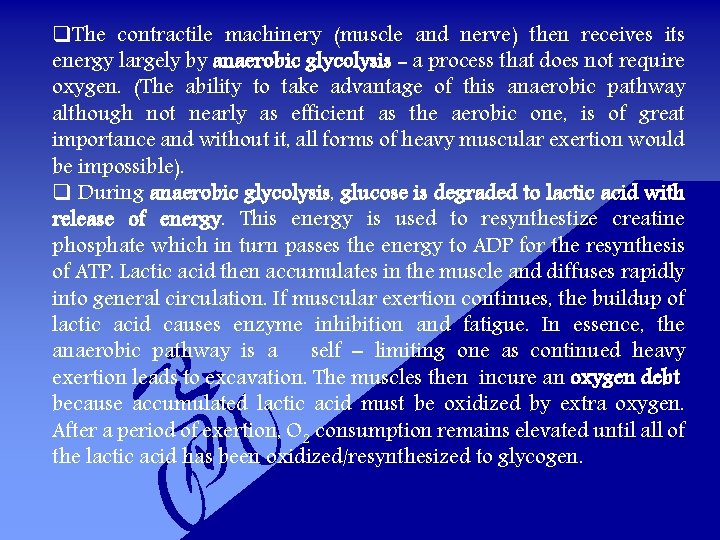 q. The contractile machinery (muscle and nerve) then receives its energy largely by anaerobic