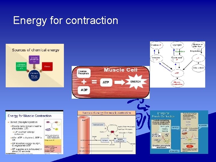 Energy for contraction 