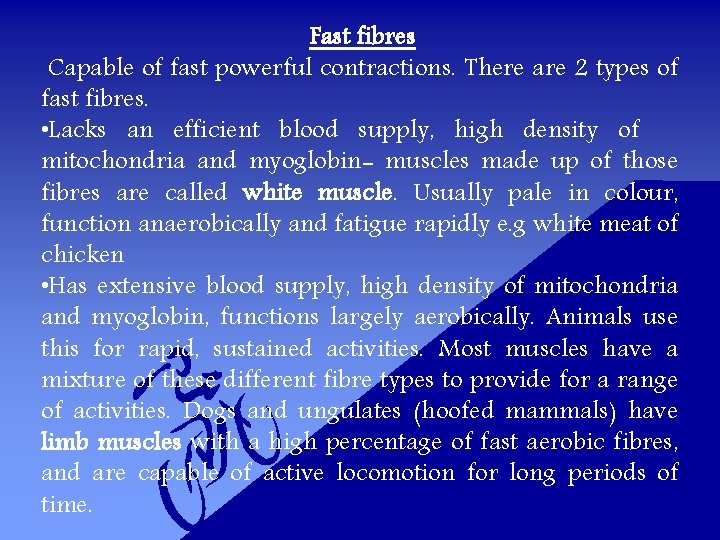 Fast fibres Capable of fast powerful contractions. There are 2 types of fast fibres.