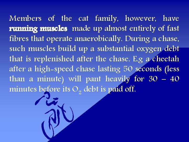 Members of the cat family, however, have running muscles made up almost entirely of