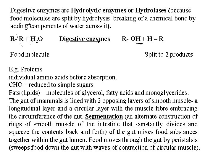 Digestive enzymes are Hydrolytic enzymes or Hydrolases (because food molecules are split by hydrolysis-