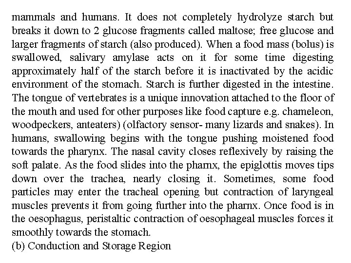mammals and humans. It does not completely hydrolyze starch but breaks it down to