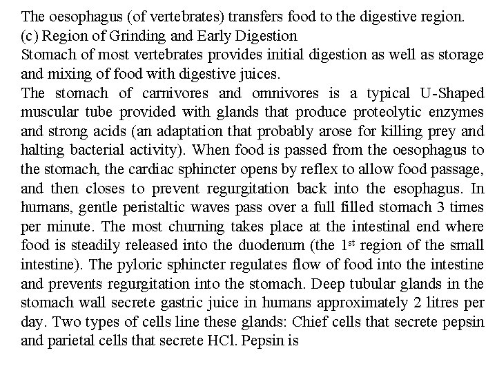 The oesophagus (of vertebrates) transfers food to the digestive region. (c) Region of Grinding