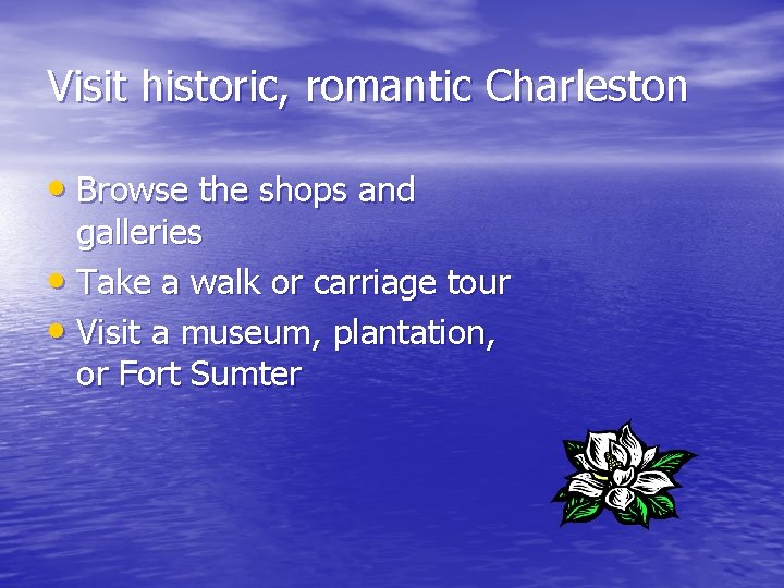 Visit historic, romantic Charleston • Browse the shops and galleries • Take a walk