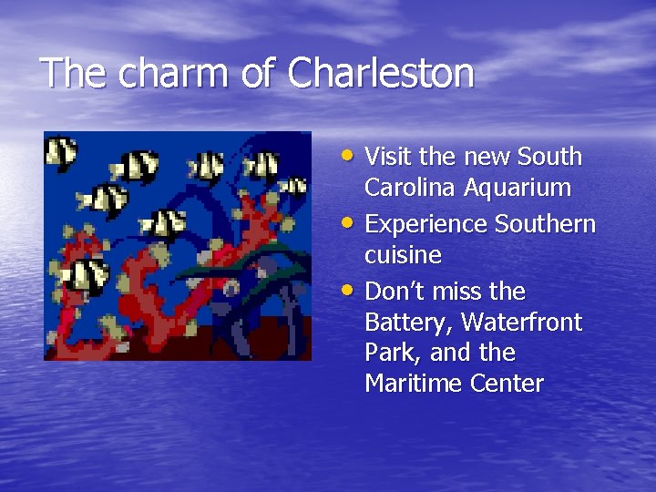 The charm of Charleston • Visit the new South • • Carolina Aquarium Experience