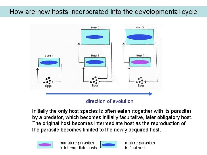 How are new hosts incorporated into the developmental cycle direction of evolution Initially the