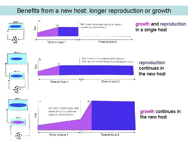 Benefits from a new host: longer reproduction or growth and reproduction in a single