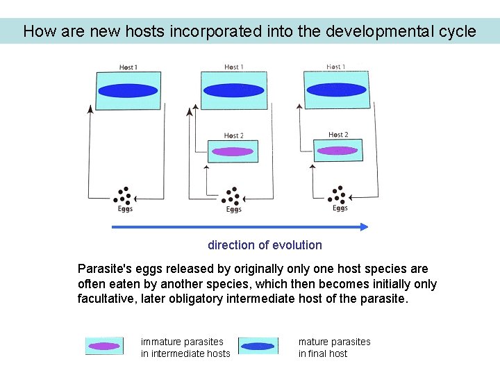 How are new hosts incorporated into the developmental cycle direction of evolution Parasite's eggs