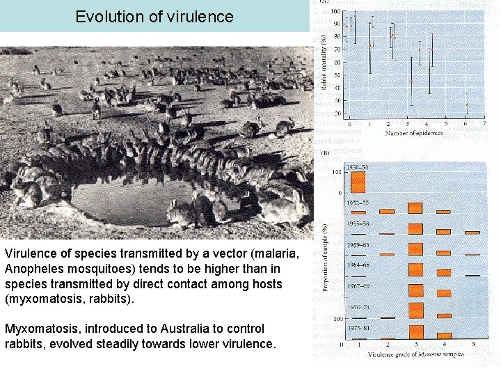 Evolution of virulence Virulence of species transmitted by a vector (malaria, Anopheles mosquitoes) tends