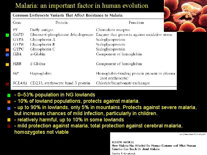 Malaria: an important factor in human evolution - 0– 53% population in NG lowlands
