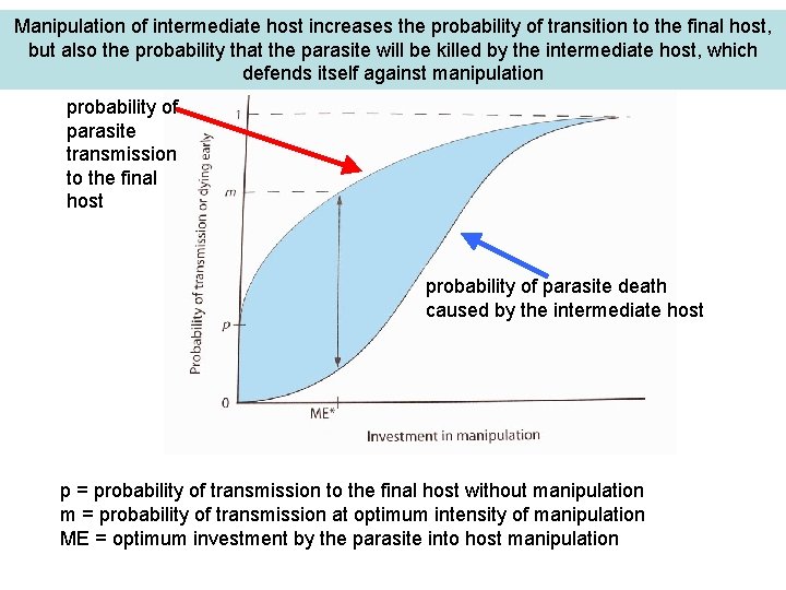 Manipulation of intermediate host increases the probability of transition to the final host, but